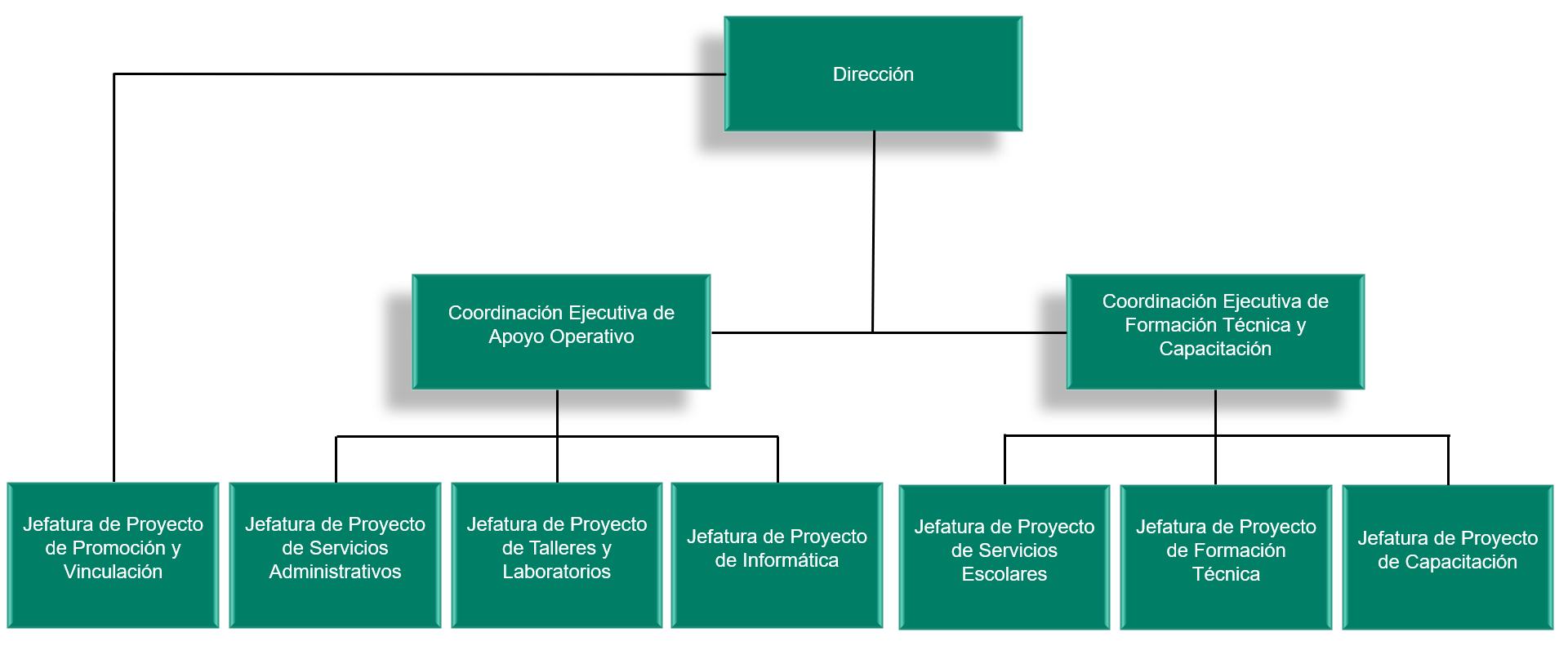 Estructura | CONALEP CDMX - ÁLVARO OBREGÓN II